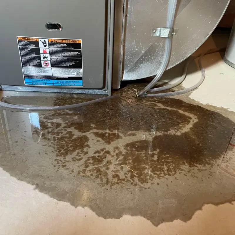 Appliance Leak Cleanup in Danville, AR